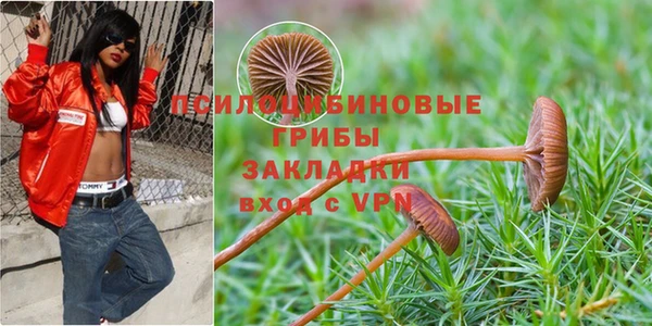 шишки Бородино