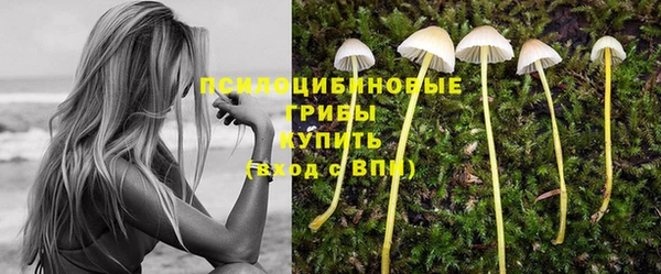 стафф Бугульма