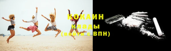 шишки Бородино