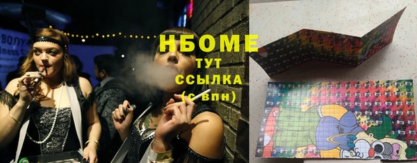 шишки Бородино