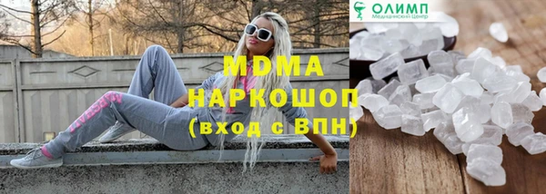 шишки Бородино