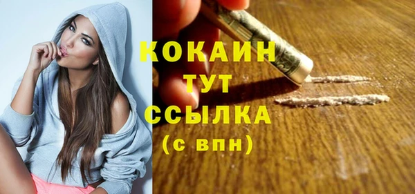 шишки Бородино