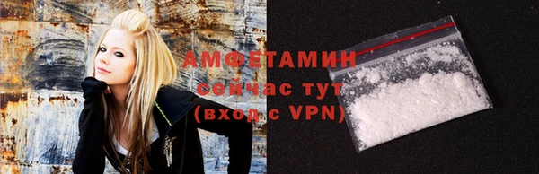 шишки Бородино
