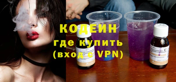 шишки Бородино