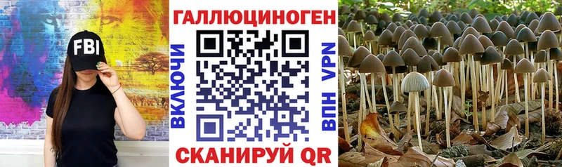 Галлюциногенные грибы мицелий hydra маркетплейс Бузулук