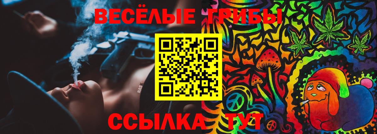 Галлюциногенные грибы Cubensis Бузулук